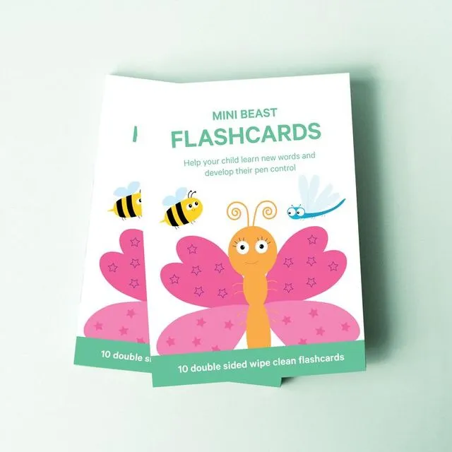 Minibeast Flashcards