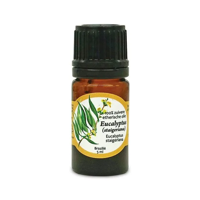 100% pure essential oil Eucalyptus (staigeriana) 5 ml