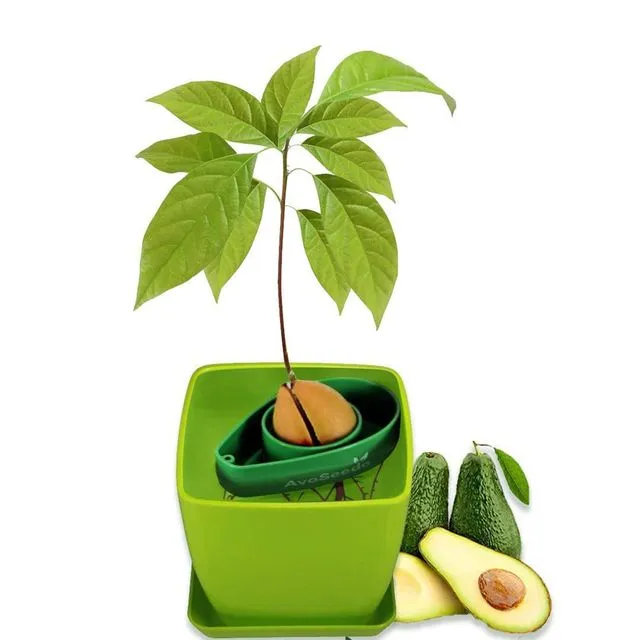 AvoSeedo Plant Pot Green Pot / Green Avocado