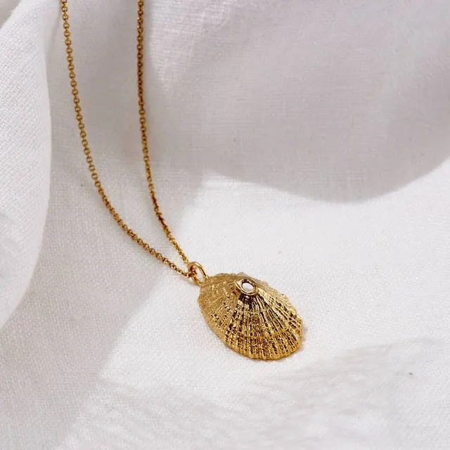 Yellow Gold Limpet Shell Necklace