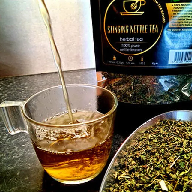 Stinging Nettle Tea - Herbal Tea (Pack of 8)
