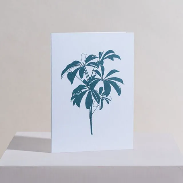 Umbrella Plant Greetings Card