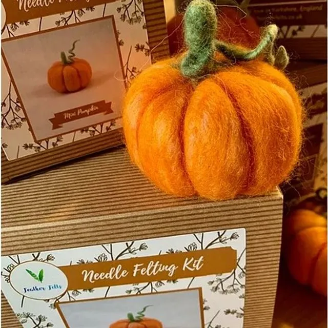 Mini Pumpkin - Needle Felting Kit