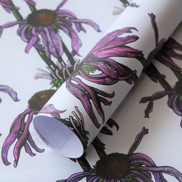 Echinacea Floral Gift Wrap (matching gift tag & card available) 5 sheet pack