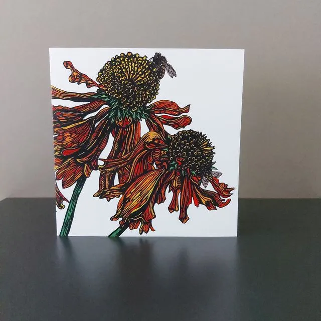 Helenium Blank Floral Greeting Card, Pack of 5