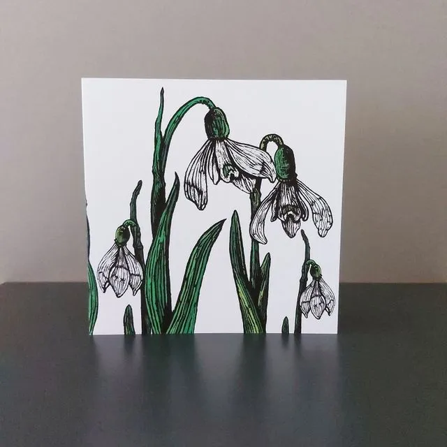 Snow Drops Blank Floral Greeting Card, Pack of 5