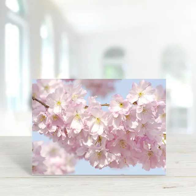 Blossom 2 - A6 Greeting Card - Pack of 6