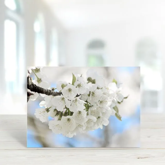 Blossom 4 - A6 Greeting Card - Pack of 6