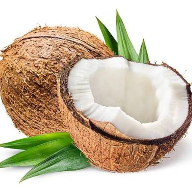 Coconut Body Butter - Pack of 10