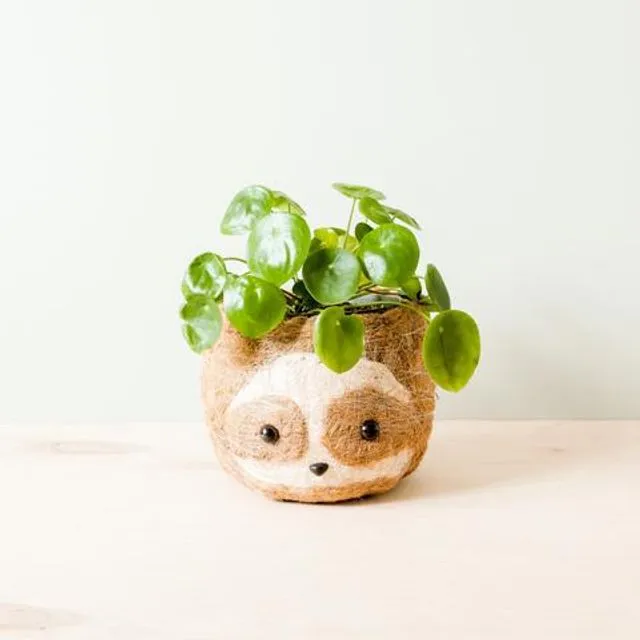 LARGE TWO-TONE SLOTH - COCO COIR POTS (6 INCH) LIGHT