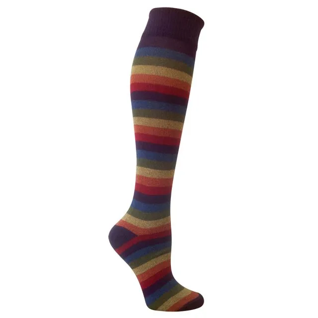 Iris Rainbow Stripe Knee High Socks