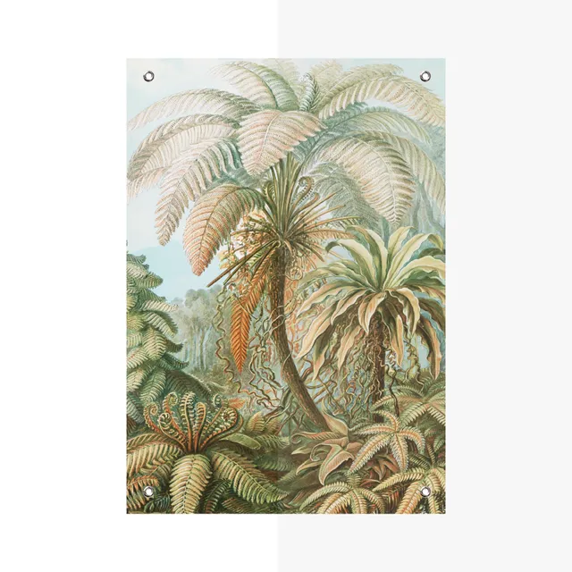 Tuinposter Ernst Haeckel - Palmbomen