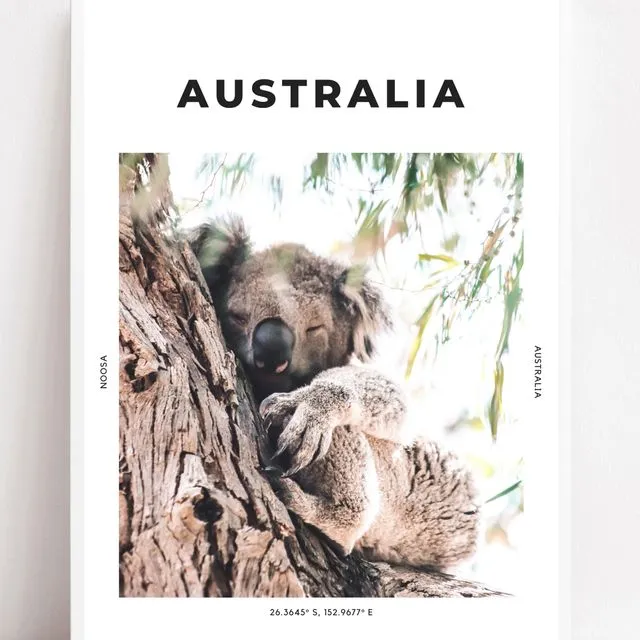 Australia 'Sleepy Koala' Print