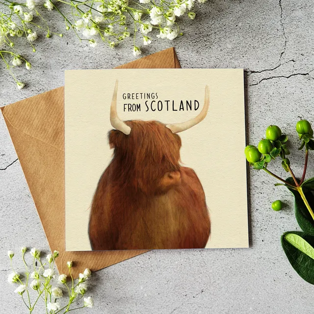 Greetings from Scotland - Highland Cow