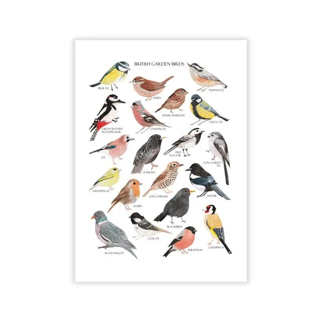 British Garden Birds Art Print