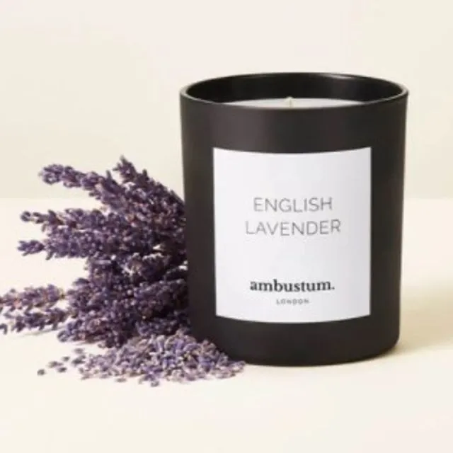 English Lavender Candle - 50 Hour