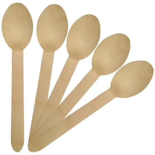 Birchwood Disposable Cutlery - Pack of 100 Spoon
