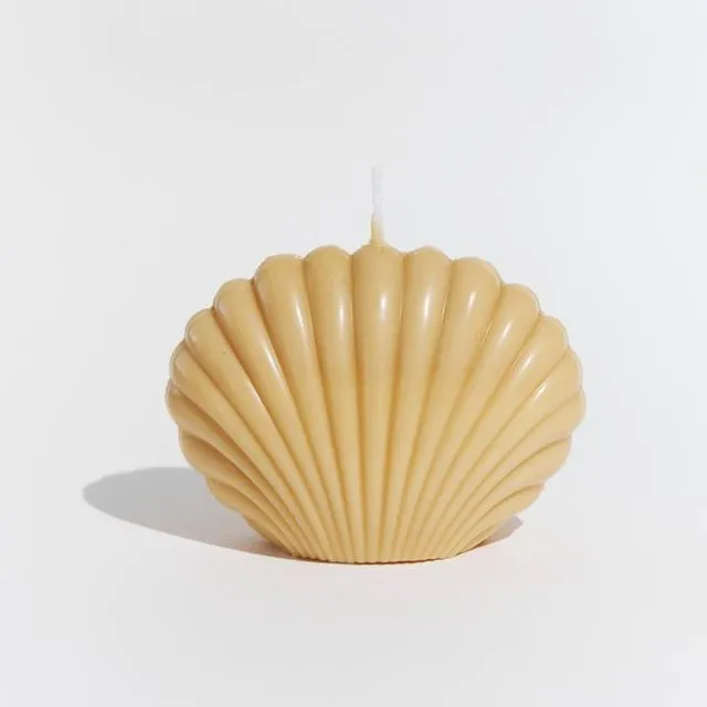 BIG SHELL CANDLE 'TOREILLES' IN PAMPA