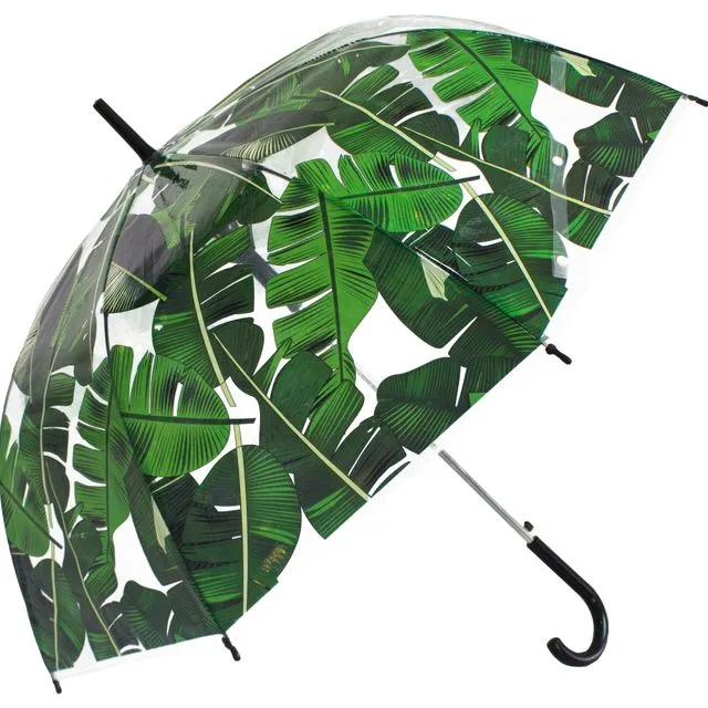 Green Palm Leaf Scarce Transparent Umbrella