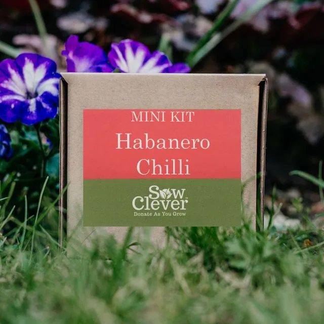 Habanero Chilli Mini Kit