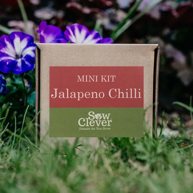 Jalapeno Chilli Mini Kit