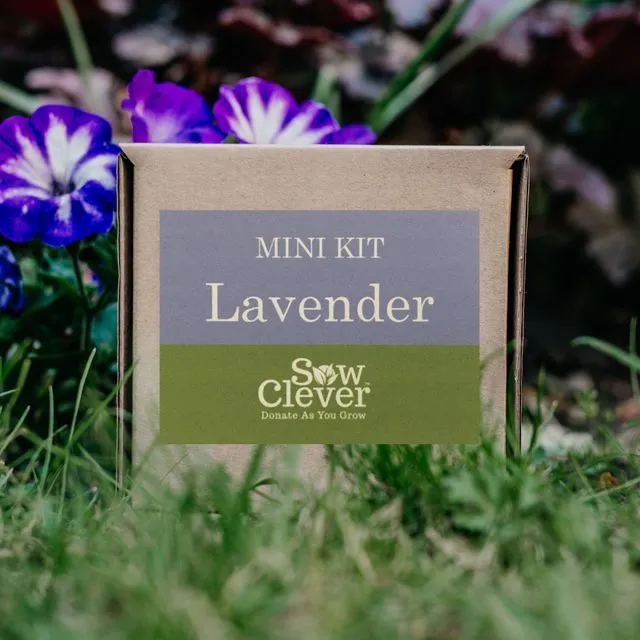 Lavender Mini Kit