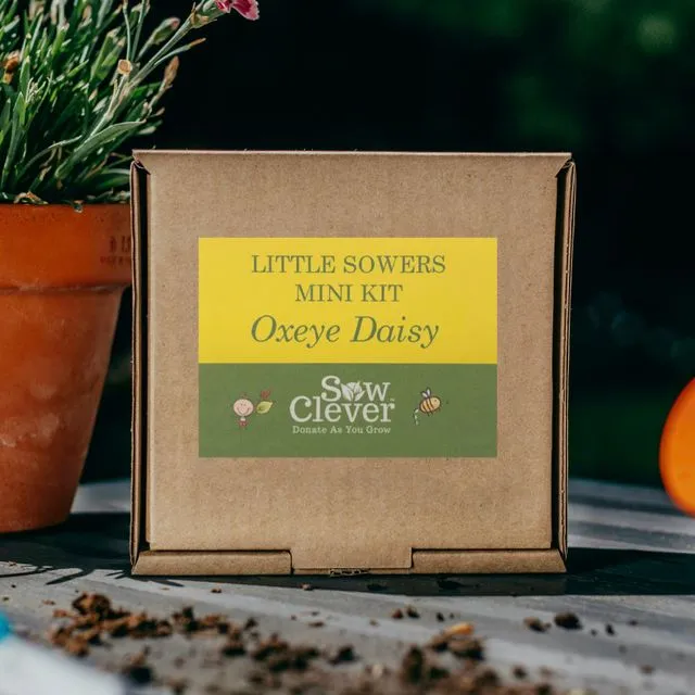 Little Sowers Oxeye Daisy Mini Kit