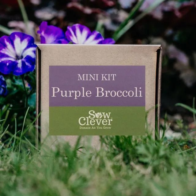 Purple Broccoli Mini Kit