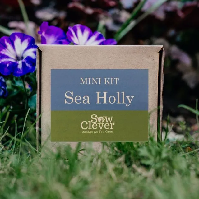Sea Holly Mini Kit