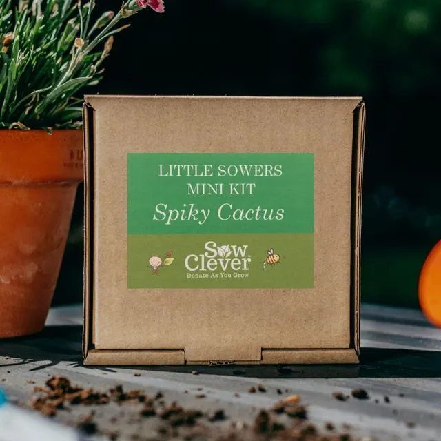 Little Sowers Spiky Cactus Mini Kit