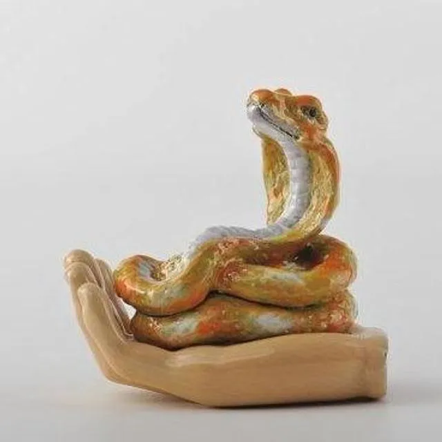 Zodiac Snake Laying on Hand