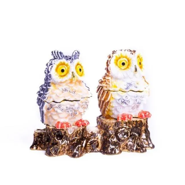 Two Owls Sitting on Tree Trunk