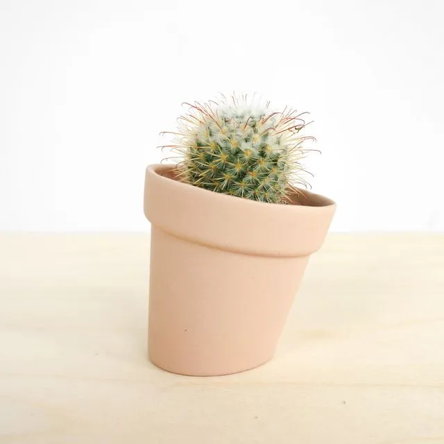 Distorted Flowerpot – Small - Pink