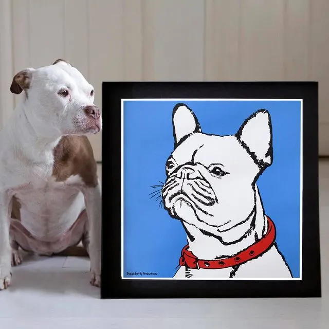 French Bull Dog Mounted Print Blue