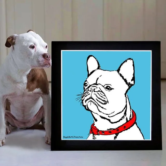 French Bull dog Mounted Print Turquoise-1
