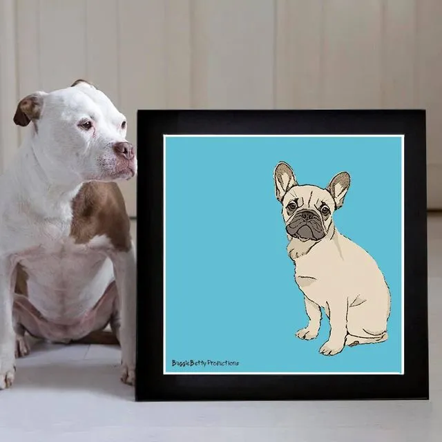 French Bull Dog Mounted Print Turquoise