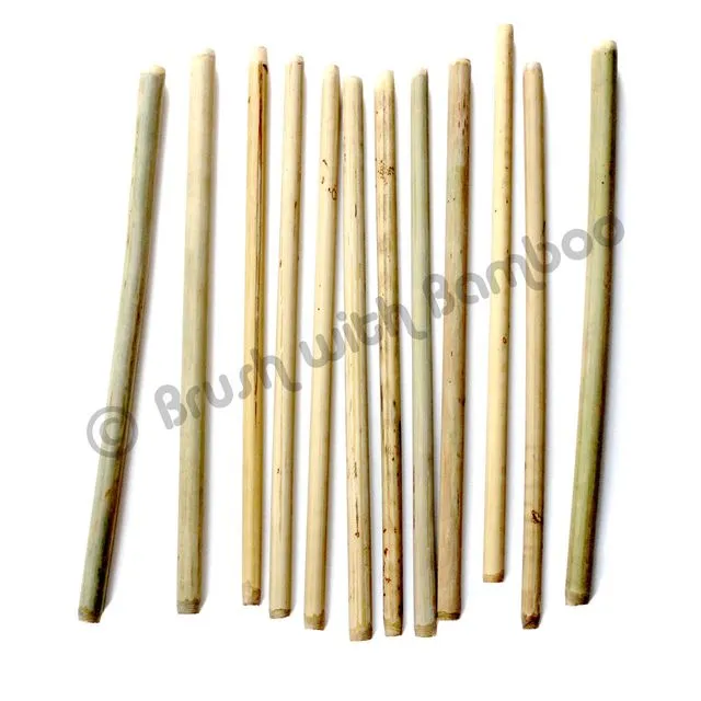 Bamboo Single Straws