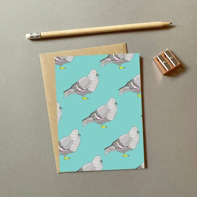 Pigeon - Pack of 6