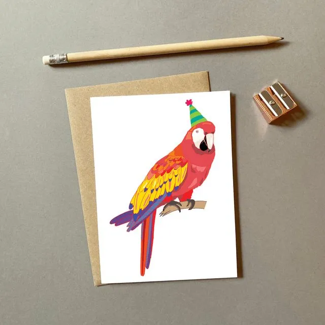 Parrot in A Party Hat - Pack of 6
