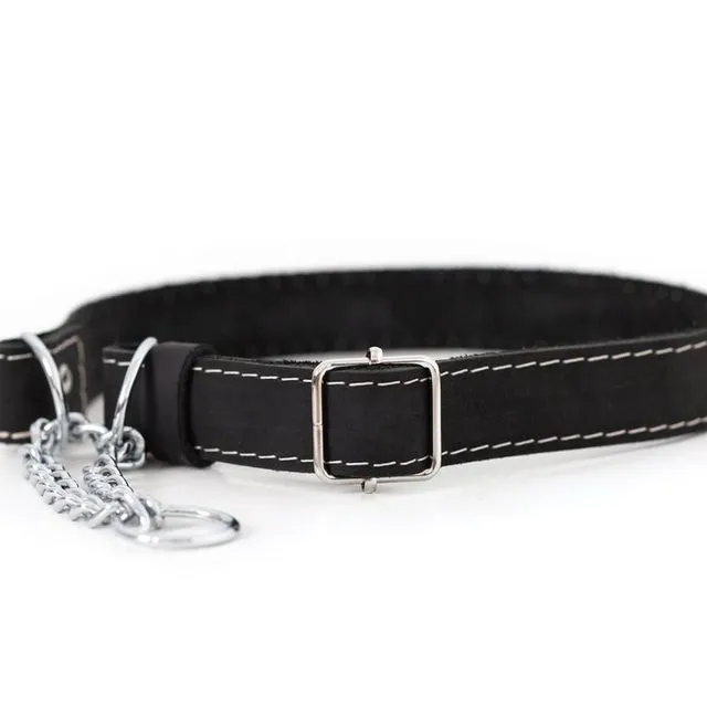 Black Martingale Dog Collar