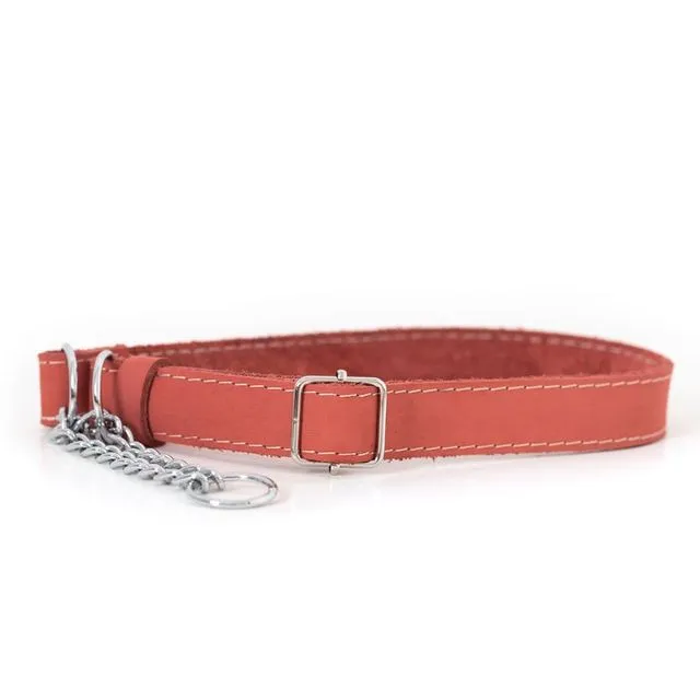 Coral Martingale Dog Collar