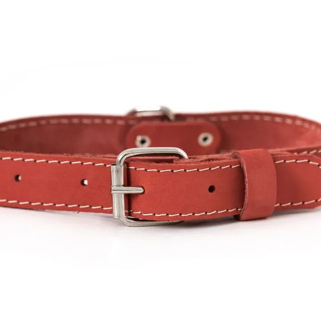 Coral Traditional Dog Collar