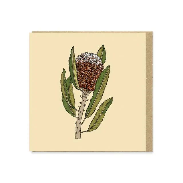 Banksia Flower Greeting Card (130x130mm)