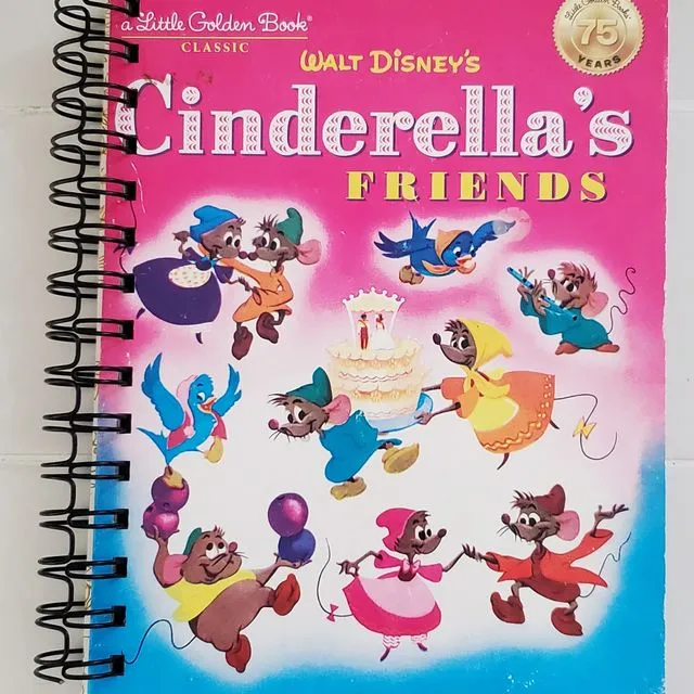 Cinderella,s Friends Journal