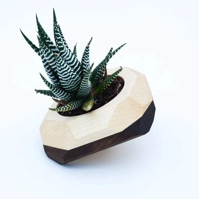 Geometric Tilted Cactus & Succulent Planter - White w/Black Stripe