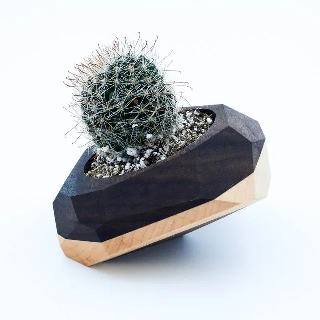 Geometric Tilted Cactus & Succulent Planter - Black w/White Stripe