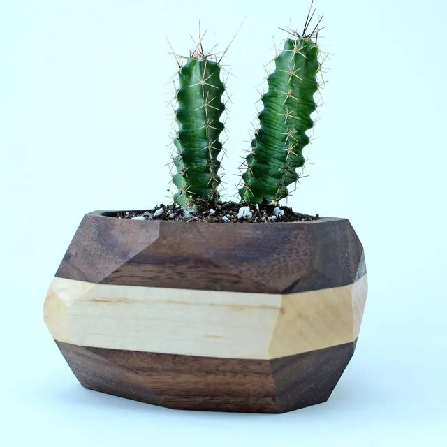 Geometric Cactus & Succulent Planter - Black w/White Stripe