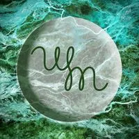 Wednesday Moon avatar