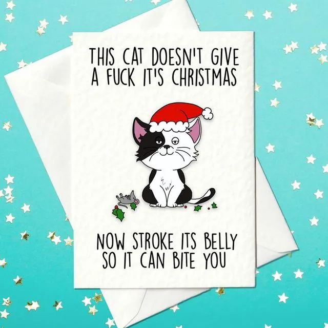 This cat doesn't give a fuck it's Christmas... Funny Christmas card for cat fans (A6)