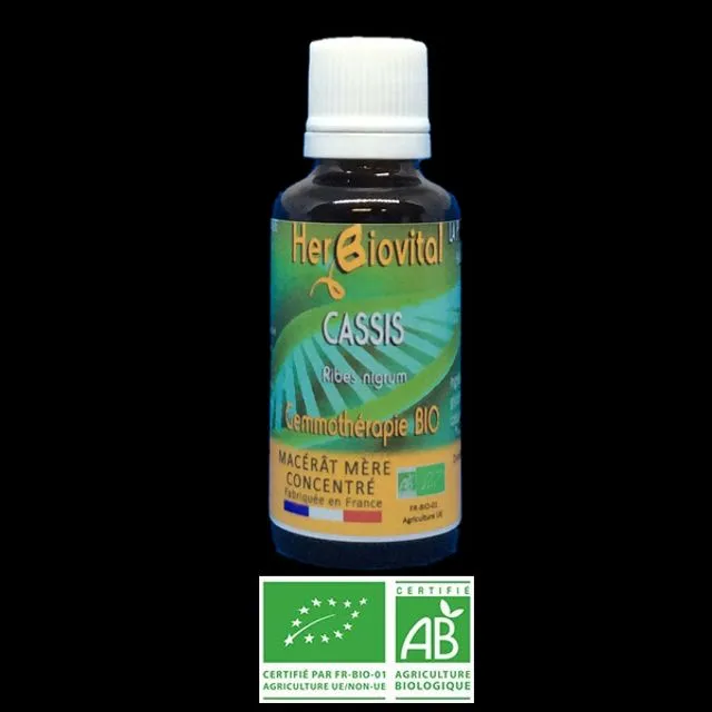 Blackcurrant Organic Gemotherapy